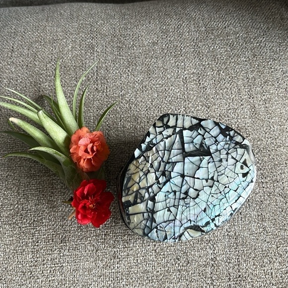 ๐ Beautiful Handmade Polished Purple Clam Shell Jewelry/Trinket Box - Picture 9 of 11